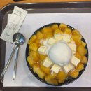 엘도라도 PC방 | 8월의 행복 𖦹⋆彡🫧꩜♪⋆