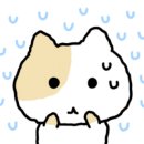 월오포레스트 이미지