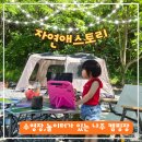 수영장·놀이터 모두 있는 나주 자연애스토리 캠핑장 가족캠핑 후기