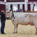 서울목장 이미지