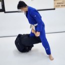 늘푸른1길 | 백석동주짓수 팀레드비 우리주짓수에다니고 있는 후기입니다