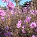 서재필공원 이미지