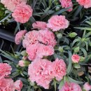 마음을 전하는 선물 포장법 이미지