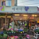 에바다 헤어 - 도봉구 | 에바다 헤어