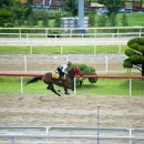 부경목장 이미지