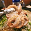 갯벌횟집 개방화장실 | [화성 새솔동 횟집 추천] 쭈꾸미 샤브샤브가 맛있는 장막옆회포차 재방문 후기