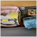 펫365 강아지분양 고양이분양 전주본점 이미지