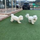 멍밸리 이미지