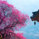 전북특별자치도 남원요양병원 이미지