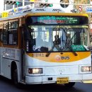 호계운수 이미지