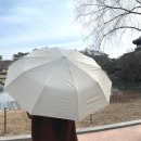 고인성 | 비 오는 날 생각나는 우산, 일상HO감 3단우산 자동우산 후기