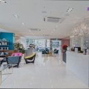 모모성형외과의원 | [강남 강남구 성형외과 추천] 모모성형외과의원 모발이식 특화 의료진