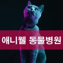 애니웰 동물병원 네이버블로그