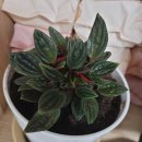 농협본점 이미지