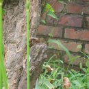 만수3동-13 이미지