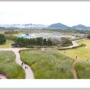 갯골생태공원 이미지