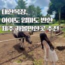 누리목장 | 아이랑 제주여행 어디갈까? 자연 속 힐링 목장 대한목장 방문기