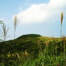 ★ 10월 4일 경주 무장산(억새) 정기산행 안내 ★ 이미지