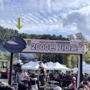 이천삼계탕 | 쌀문화축제 즐기고 느티나무집에서 든든한 보양식까지! 이천 오리주물럭·삼계탕 후기