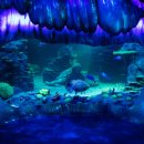 씨 라이프 이미지