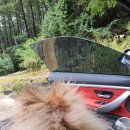 별담민박 이미지