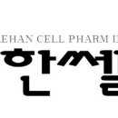 고려약업사 이미지