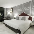 디자인팝호텔 이미지