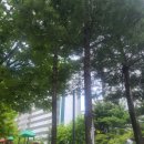 부동산 임장 4. 가양 ~ 염창 임장 후기