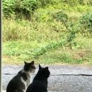 포항곤충농장 이미지