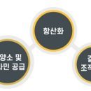 연세더블유치과 네이버블로그