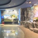 화천 황쏘가리 서식지 이미지