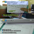 병선농장 TV리포트