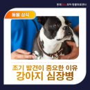 홍제동물병원 이미지