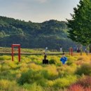 임진강글램핑 이미지