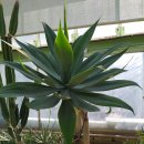 강원도립화목원 이미지