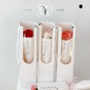 도이브 이미지