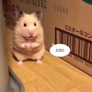 연말이라구?! 뭐했다고? 일상모음zip(3탄)