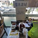 차이나홀릭