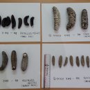 한수무역-수입 이미지