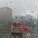 소나기 이미지