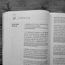 2025년 10월 17일(금) 이미지