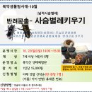 10.22(일)북악생물탐사대(넓적사슴벌레 키우기)_오후 2시_7세이상 어린이 대상 이미지