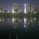 고수족구장 이미지