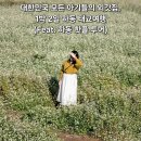 봉구스밥버거(황금캐슬점) | 하동에서의 가을, 태교 여행의 시작 소개!! (하동태교여행+핫플미션투어)