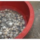 섬초롱민박 이미지