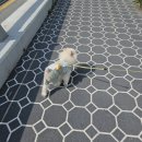 행복을 배우는 공간 이미지