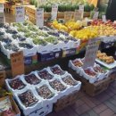 싱싱청과 이미지