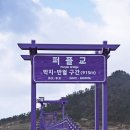 신안 안좌도 섬 여행 가볼만한곳 반월도 퍼플교 박지도 맛집 여행