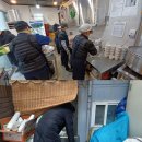 청룡부식