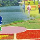 파포1리 이미지